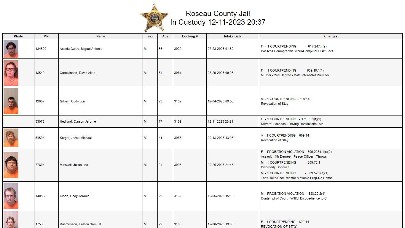 Custody - Roseau County, Minnesota